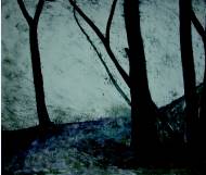 Foggy Tree